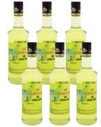 Naturello Lime Aromalı Şurup 700 ml x 6lı Koli