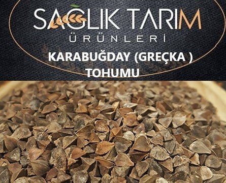 KARABUĞDAY TOHUMU