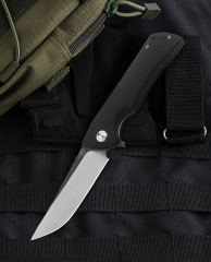 BESTECH PALADIN G10 Sap: 3,94'' D2 Bıçak BG13A-2