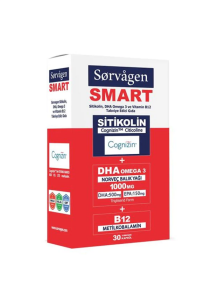Sorvagen Smart Sitikolin DHA Omega 3 ve B12 30 Kapsül 8680057351687