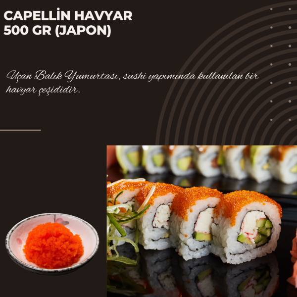 Sea Gold Masago (Cappelin Roes) Turuncu 500 Gr