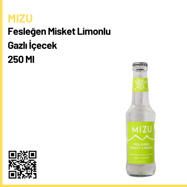 Mizu Tanışma Paketi Doğal Mineralli Gazlı İçecek 250 Ml x 3 Çeşit
