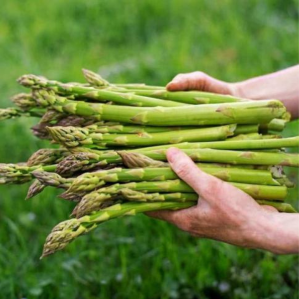 Tımwel Dondurulmuş Yeşil Kuşkonmaz 1 Kg