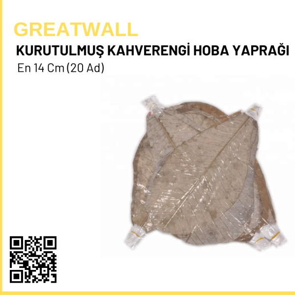 Kurutulmuş Kahverengi Hoba Yaprağı En 14 Cm (20 Ad)