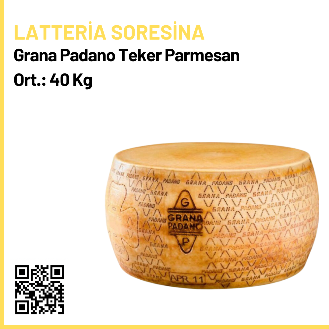 Latteria Soresina Grana Padano Teker Parmesan Peyniri Ort.: 40 Kg