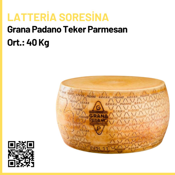Latteria Soresina Grana Padano Teker Parmesan Peyniri Ort.: 40 Kg