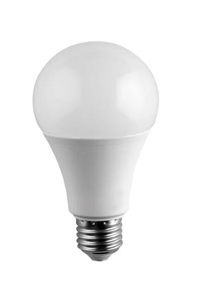 Noas 12W Led Ampul Günışığı