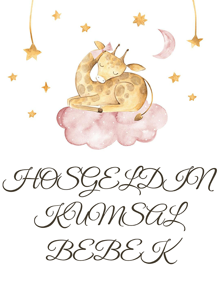 Baby Shower Karşılama Panosu (KRP0063)