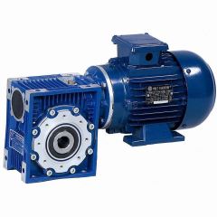 ES Motor - Worm Gearbox