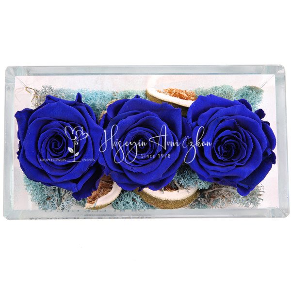 Navy Blue Preserved Roses