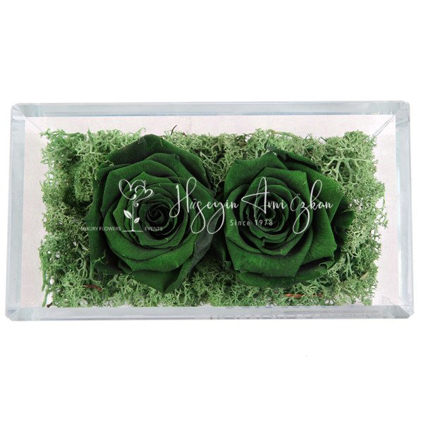 Green Preserved Roses