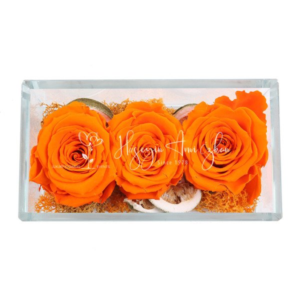 Orange Preserved Roses