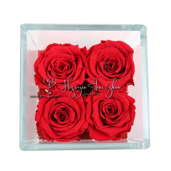 Red Preserved Roses & Glass