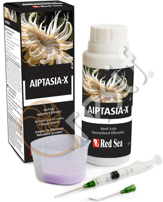 Red Sea Aiptasia-X