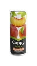 CAPPY 330ML KUTU M.S. ŞEFTALİ