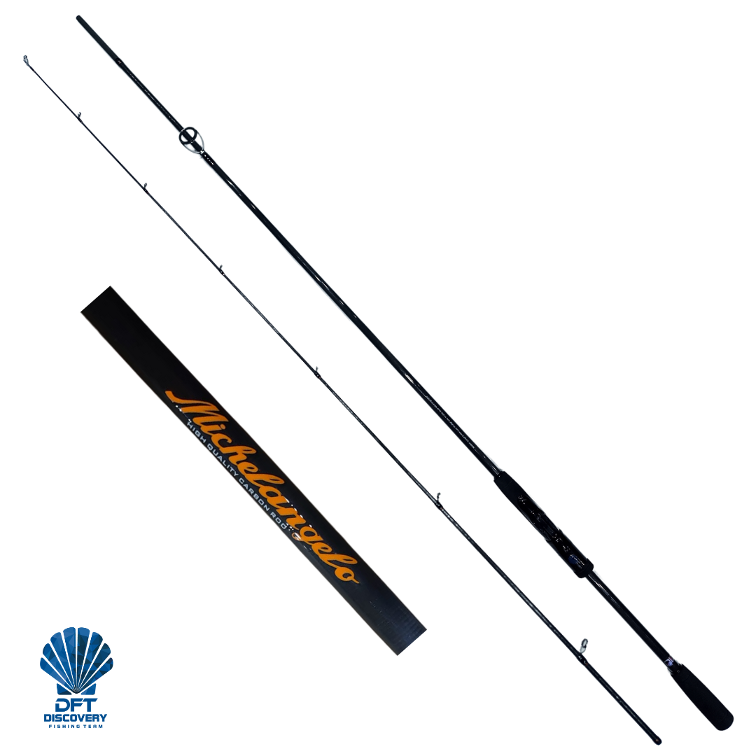 DFT Michelangelo 243 cm  Olta Kamışı 10-20 g