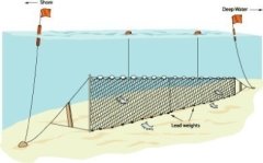 Fanyalı Profesyonel Turna Ağı 50 Metre 0,20 mm Misina