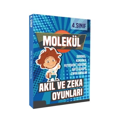 4. Sınıf Akıl ve Zeka Oyunları