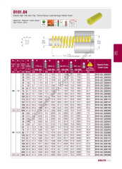 D101.04_020140  Sarı