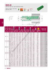 D101.01_016305  Yeşil