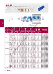 D101.02_013102  Mavi