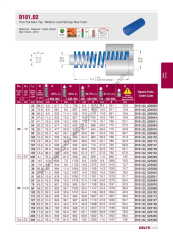 D101.02_020127  Mavi