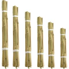 bambu çubuk 10adet 100cm