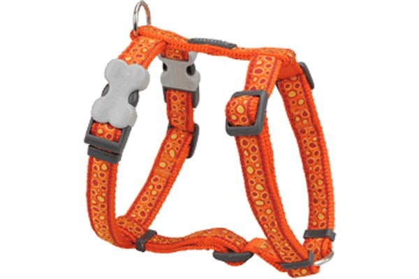 Red Dingo Harness Bedrock Desenli Köpek Göğüs Tasması Turuncu 20 Mm