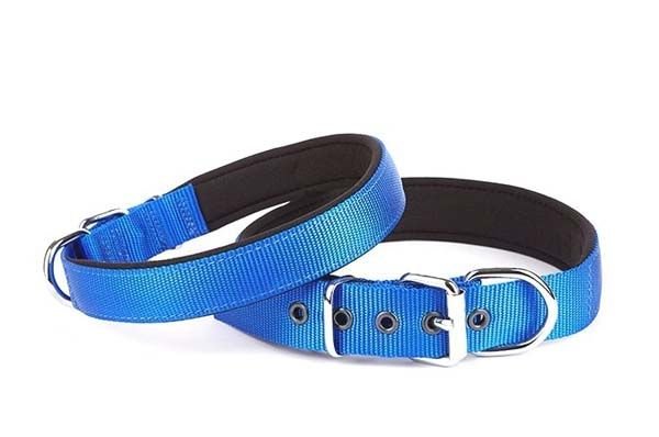 Doggie Comfort Dokuma Köpek Boyun Tasması Medium Mavi 2.5x37-45 Cm