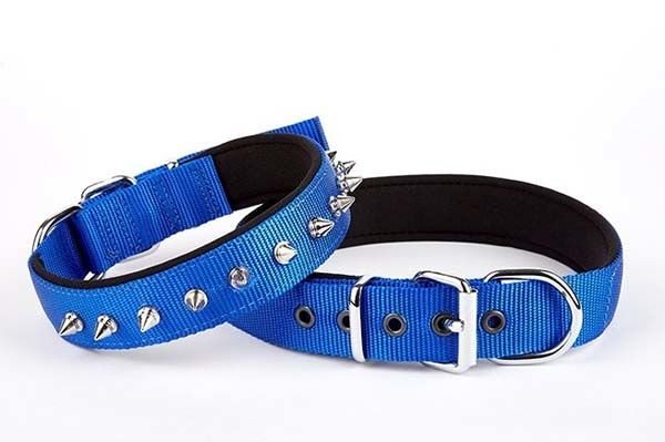 Doggie Comfort Dokuma Çivili Köpek Boyun Tasması Medium Mavi 2.5x37-45 Cm
