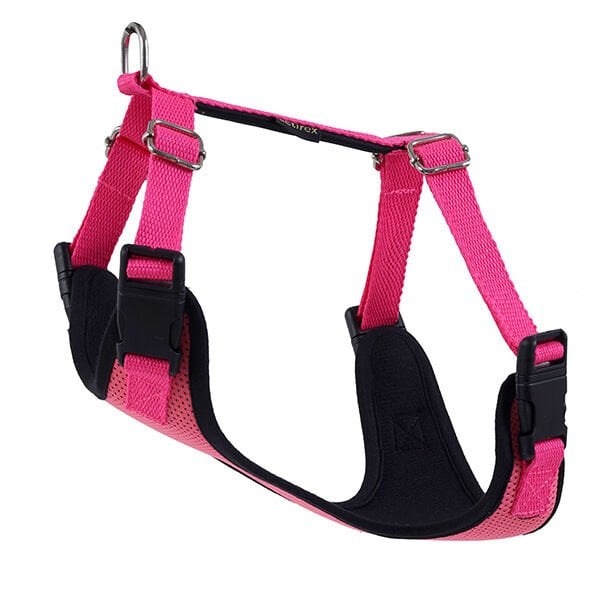 Actirex Neon Cool Köpek Göğüs Tasması Pembe Xsmall 30x35 Cm