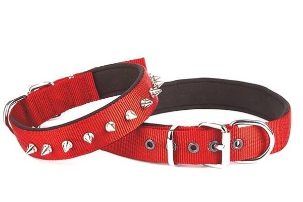 Doggie Comfort Dokuma Çivili Köpek Boyun Tasması Large Kırmızı 3x47-55 Cm