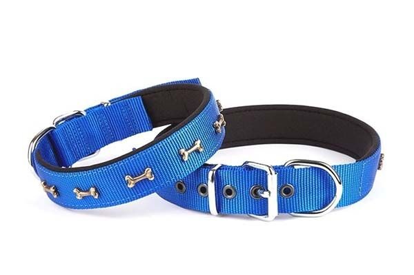 Doggie Comfort Dokuma Kemikli Köpek Boyun Tasması Medium Mavi 2.5x37-45 Cm