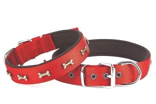 Doggie Comfort Dokuma Kemikli Köpek Boyun Tasması Medium Kırmızı 3x42-50 Cm