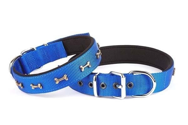 Doggie Comfort Dokuma Kemikli Köpek Boyun Tasması Medium Mavi 3x42-50 Cm