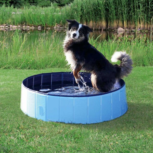 Trixie Dog Pool Köpek Havuzu 160x30 Cm