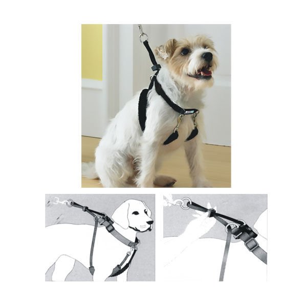 Pawise Dog Training Köpek Eğitim Tasması Xsmall 9-12 Cm