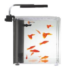 Aquasyncro Clarity Filtreli ve Işıklı Nano Akvaryum 24x24x25 Cm