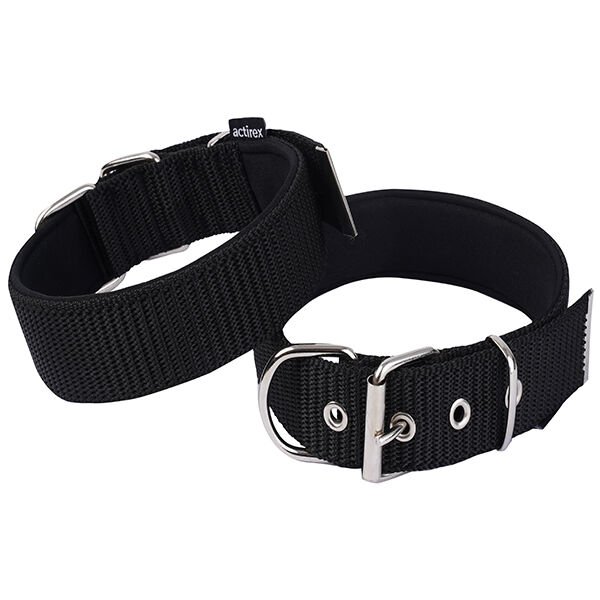 Actirex Sade Köpek Boyun Tasması Siyah M 2.5x42-50 Cm