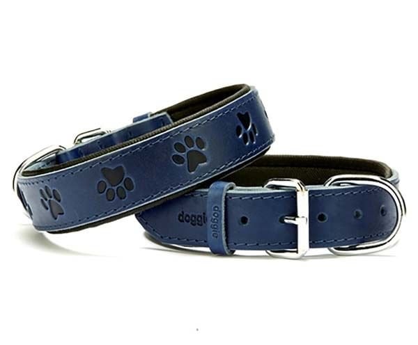 Doggie Comfort Deri Pati Desenli Köpek Boyun Tasması Medium Mavi 3.5x47-55 Cm