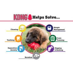 Kong Classic Ödül Hazneli Köpek Oyuncağı Medium 9 Cm