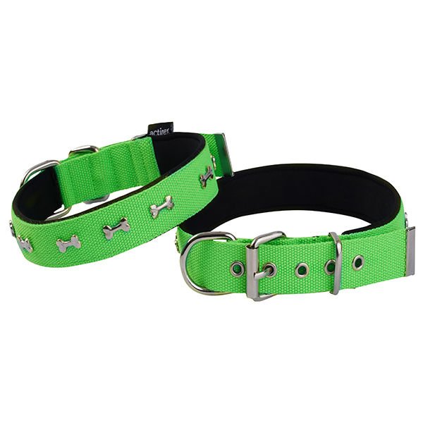 Actirex Neon Kemik Desenli Köpek Boyun Tasması Yeşil Medium 2.5x42-50 Cm