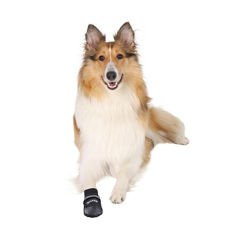Trixie Köpek Çorabı Yumuşak 2 Adet Xxlarge Siyah