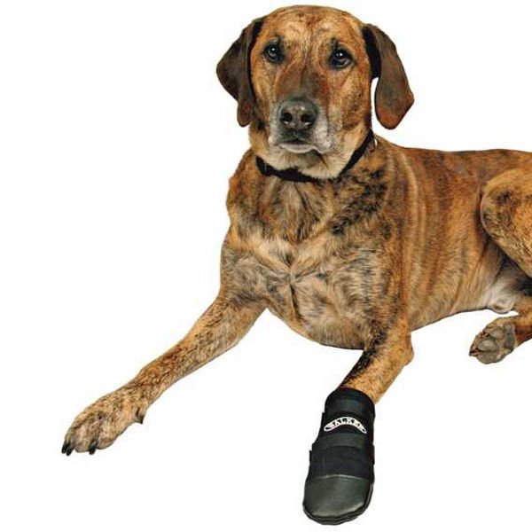 Trixie Köpek Çorabı Neopren 2 Adet Siyah Xxxlarge