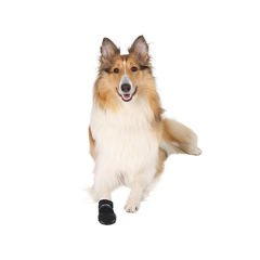 Trixie Köpek Çorabı Neopren 2 Adet Siyah Xlarge