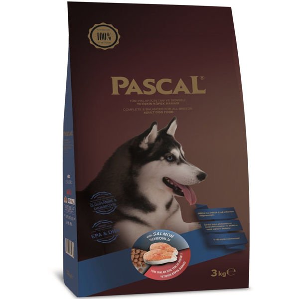 Pascal Adult Somonlu Yetişkin Köpek Maması 3 Kg