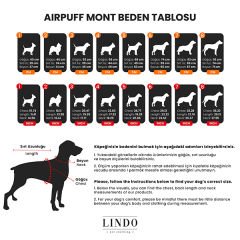 Lindo Dogs Air Puff Powder Köpek Montu Gül Beden 6