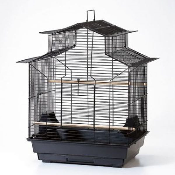 Euro Gold Çin Çatılı Geniş Papağan Kafesi Siyah 47x36x62 Cm