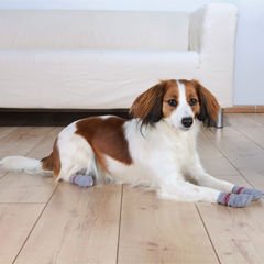 Trixie Köpek Çorabı Kaymaz 2 Adet Medium/Large Gri