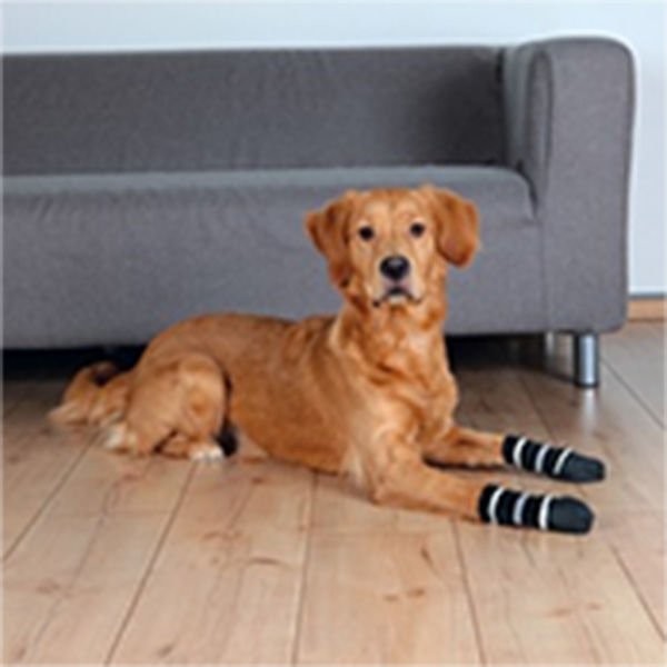 Trixie Çizgili Köpek Çorabı Kaymaz 2 Adet Xlarge